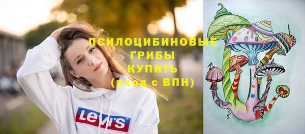 мдпв Верхнеуральск